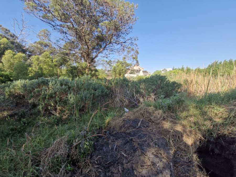 0 Bedroom Property for Sale in Bettys Bay Western Cape